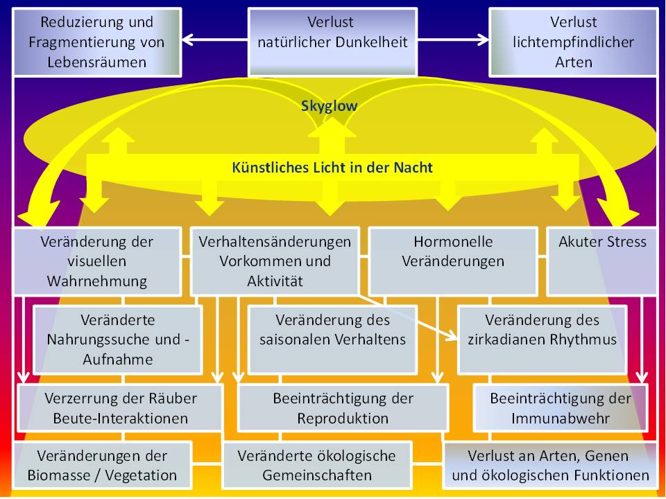 Sammlung Auswirkungen von Kunstlicht bei Nacht  Naturnacht Fulda-Rhn