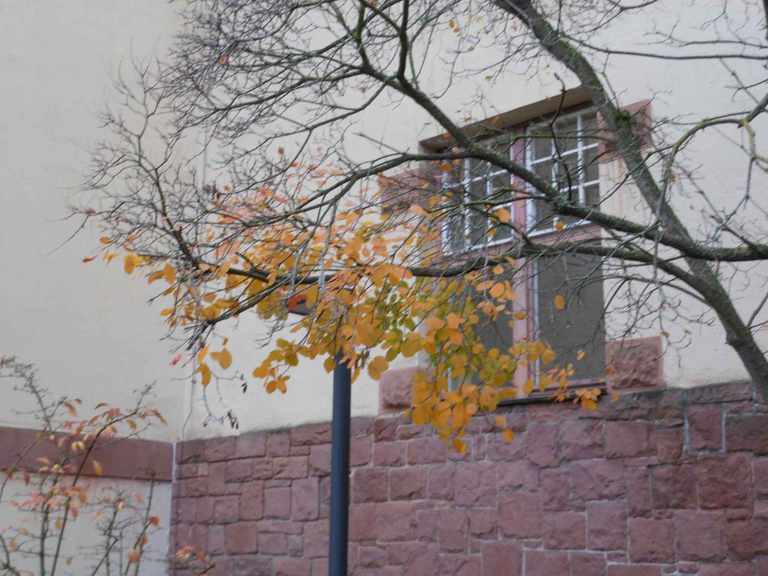 Junge Forscherinnen untersuchen den Verlust der&nbsp;Nacht