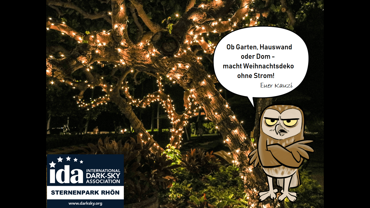 Weihnachtsdeko mit Rücksicht – ist ohne Plastik und&nbsp;Kunstlicht