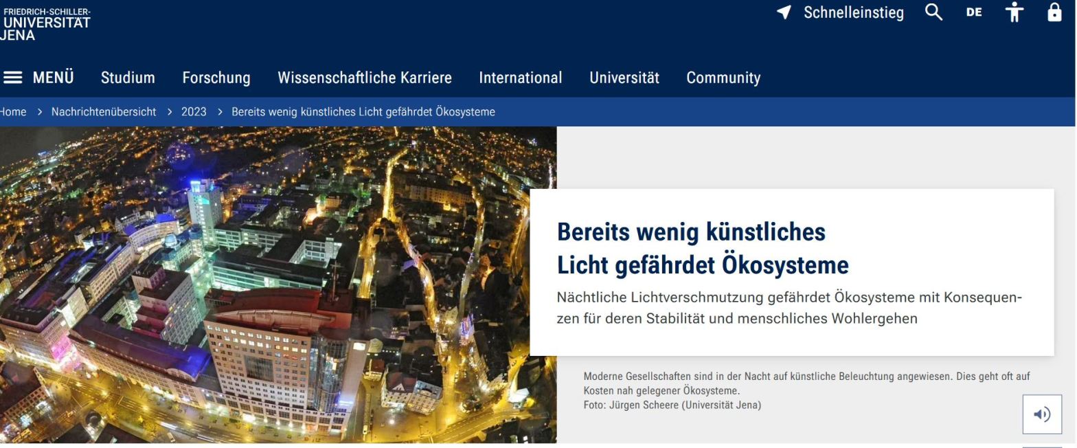 Bereits wenig künstliches Licht gefährdet&nbsp;Ökosysteme: