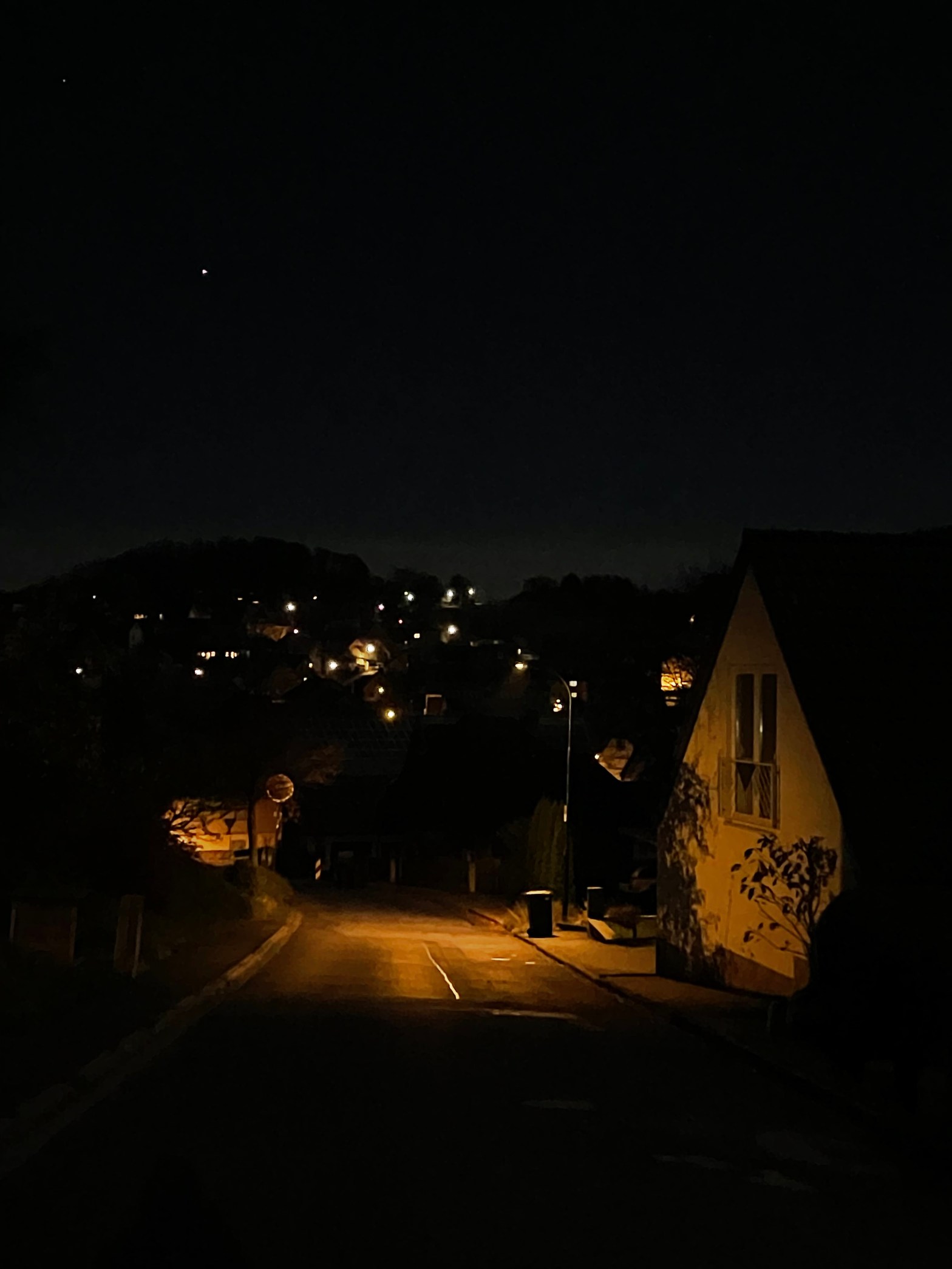Fledermäuse meiden Straßenbeleuchtung