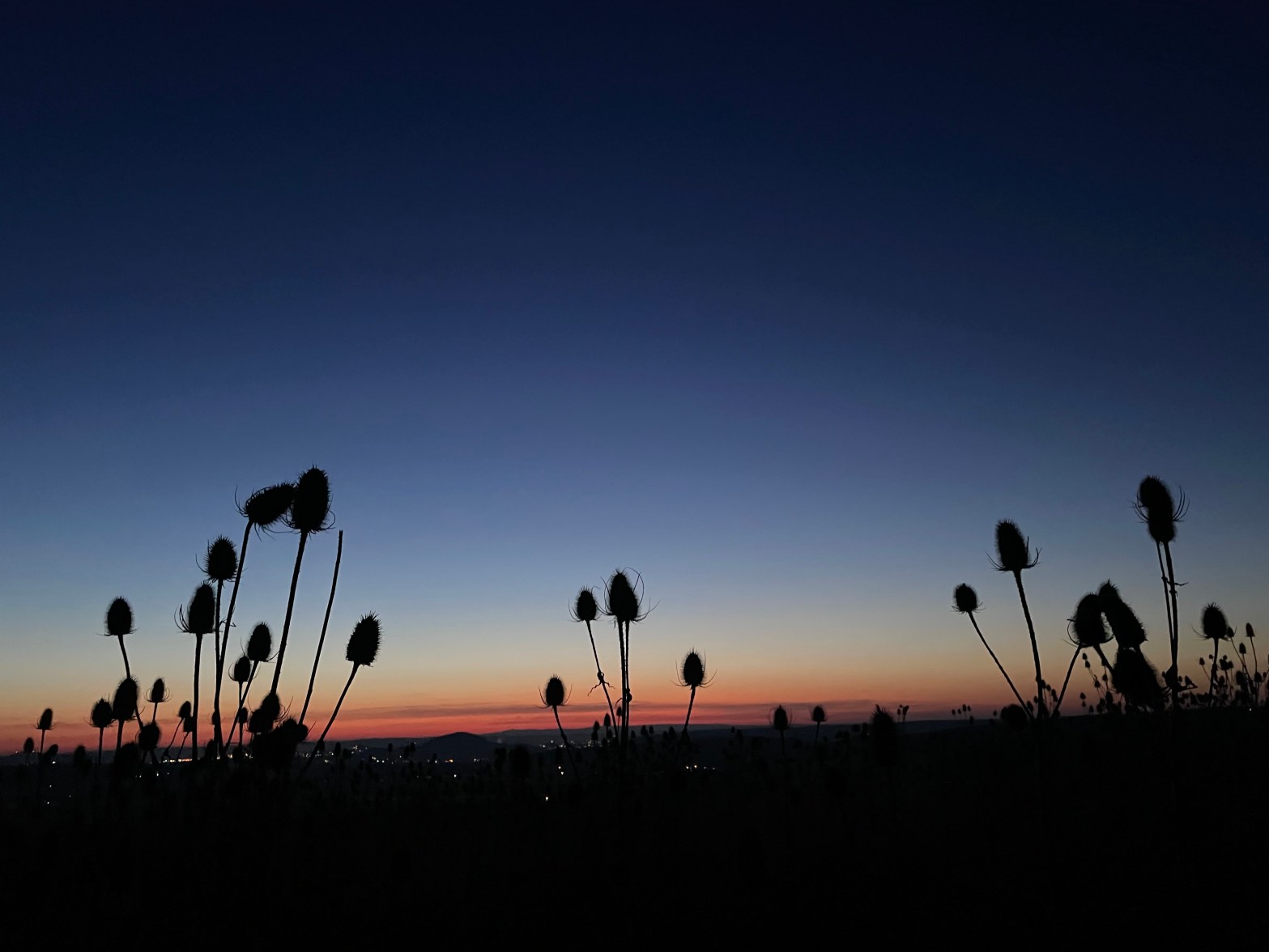 Himmelsvorschau Februar 2026